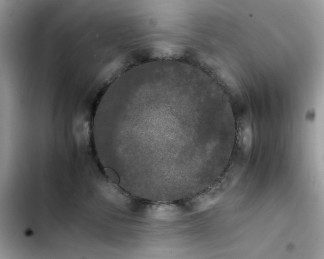 X0000103940716200809191417