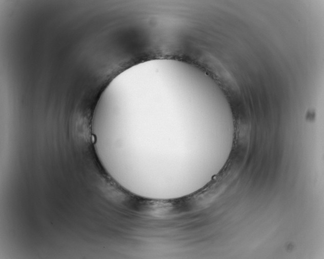 X0000103940719200809191417