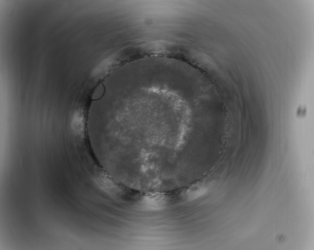 X0000103940720200809191417