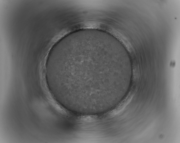 X0000103940721200809191416