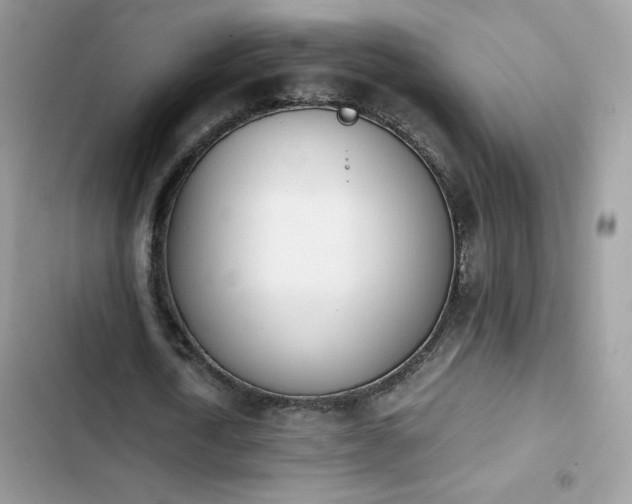 X0000103940722200809191416