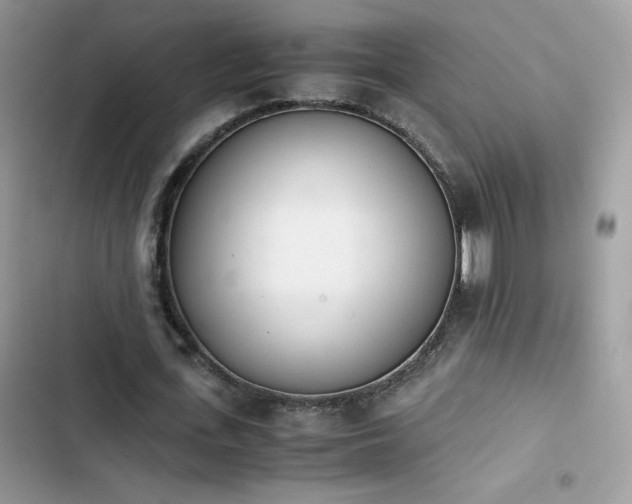 X0000103940723200809191416
