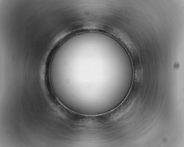 X0000103940724200809191416