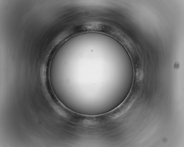 X0000103940725200809191416