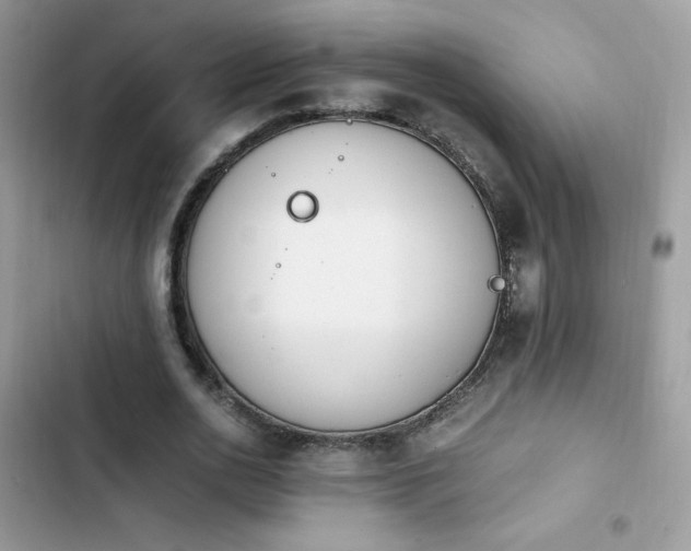 X0000103940726200809191416