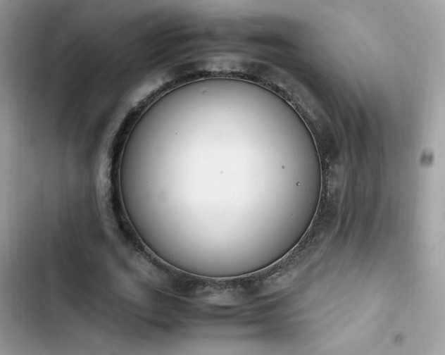 X0000103940727200809191416