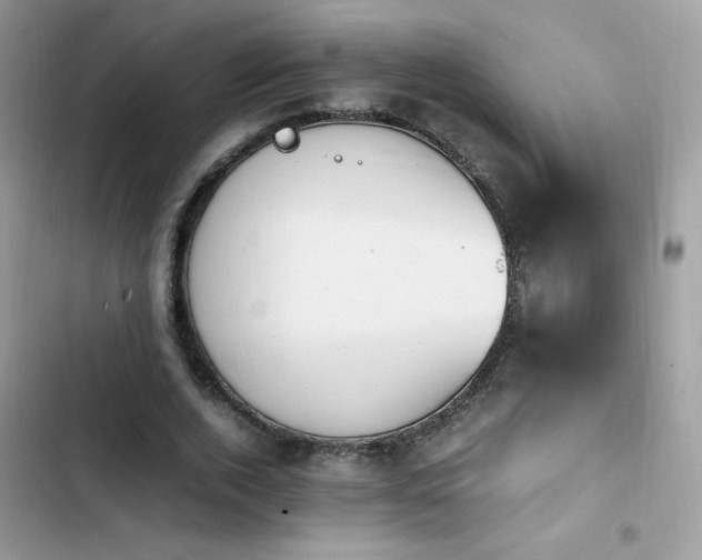 X0000103940728200809191416