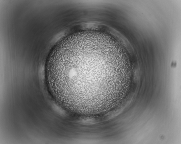 X0000103940729200809191416