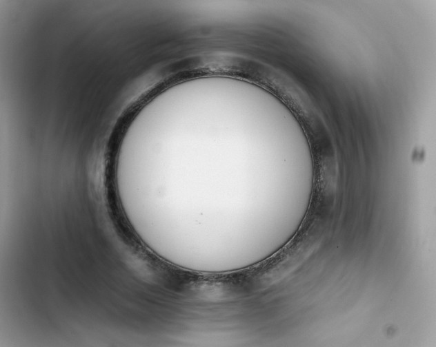 X0000103940730200809191416