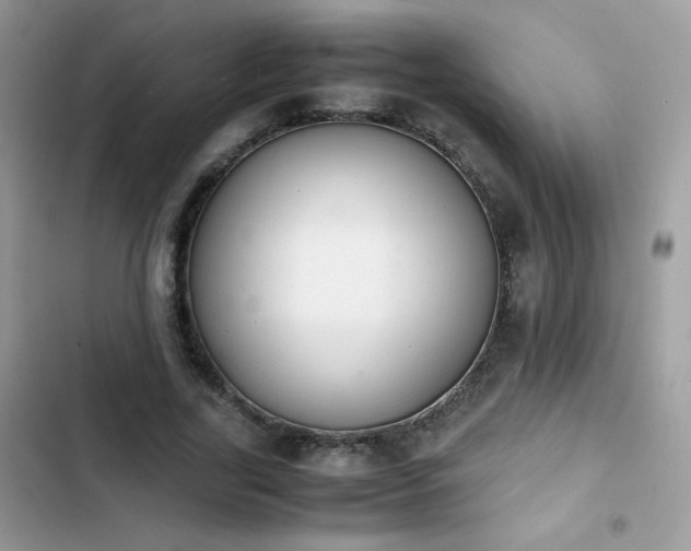 X0000103940731200809191416
