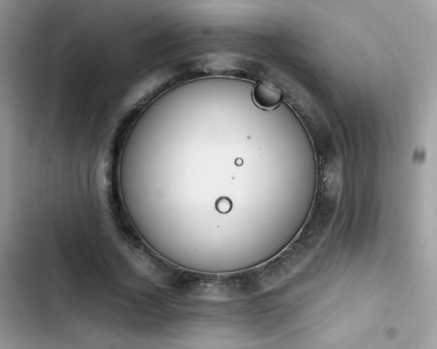 X0000103940732200809191416