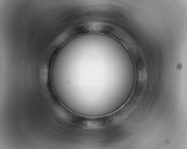 X0000103940733200809191416