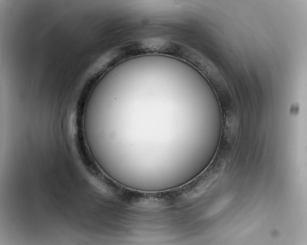X0000103940734200809191416