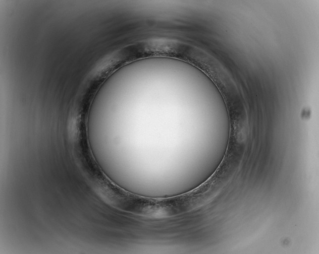 X0000103940735200809191416