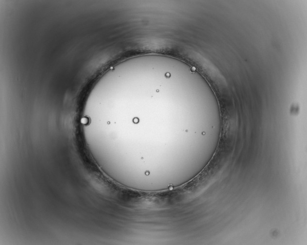 X0000103940736200809191416