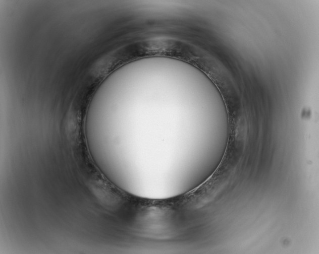X0000103940737200809191416