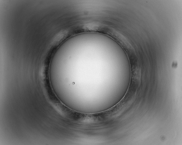 X0000103940738200809191416