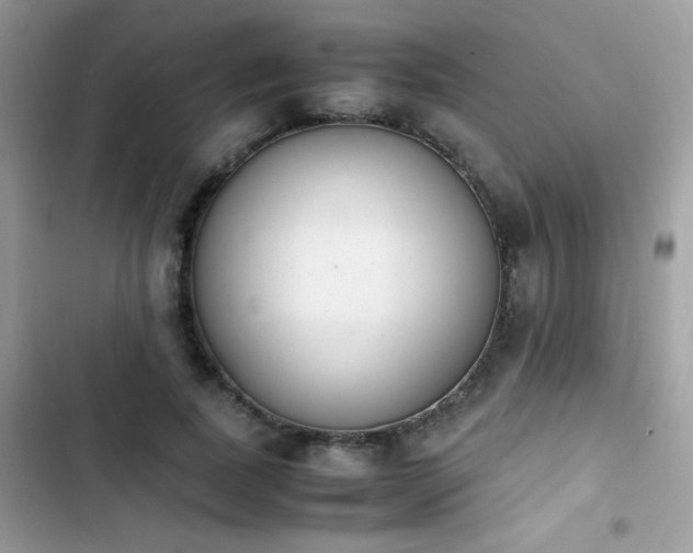 X0000103940739200809191416