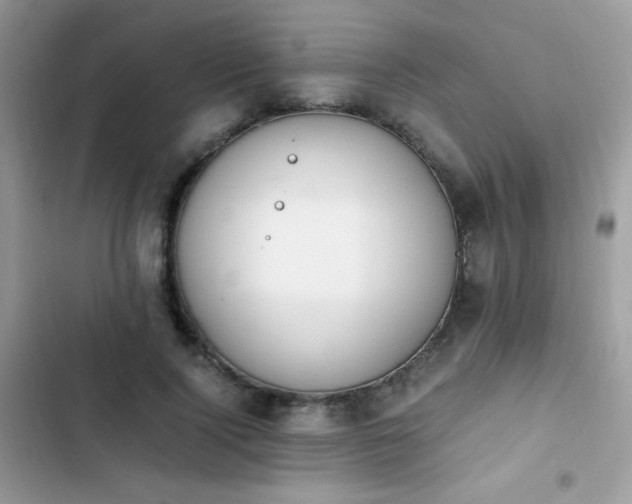X0000103940740200809191416