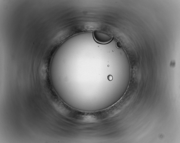 X0000103940741200809191416