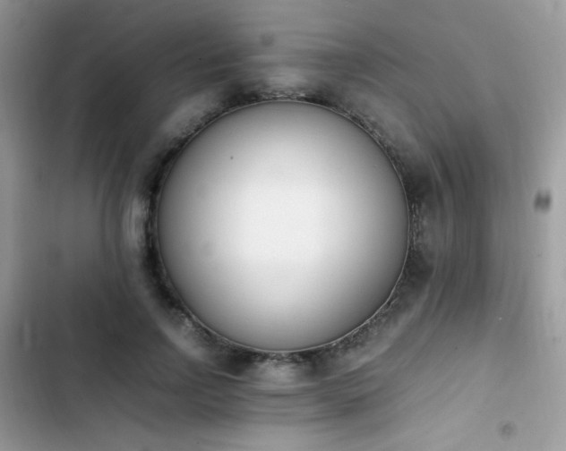 X0000103940742200809191416