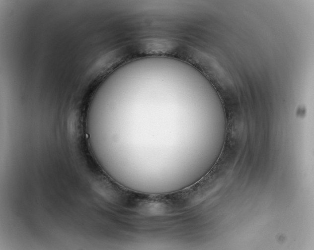 X0000103940743200809191416
