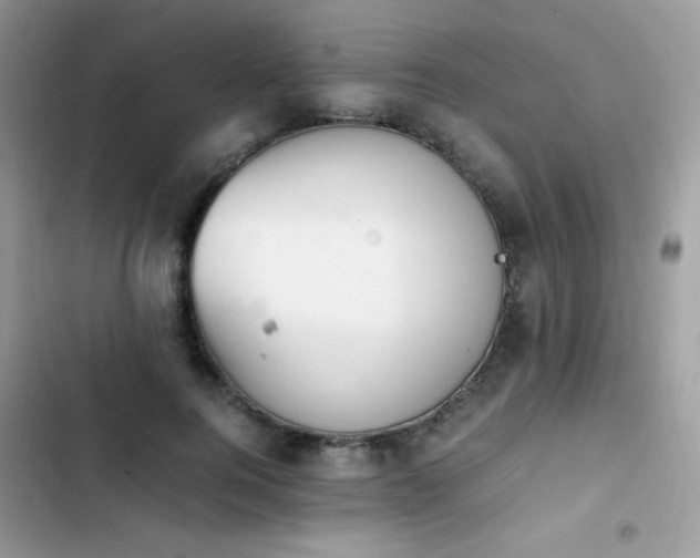 X0000103940744200809191416