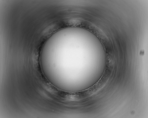 X0000103940745200809191416