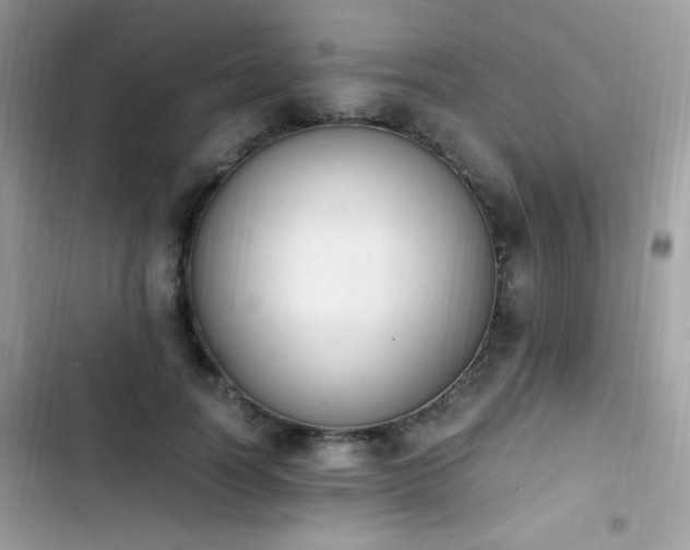 X0000103940746200809191416