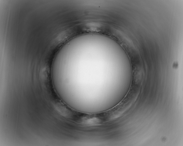X0000103940747200809191416