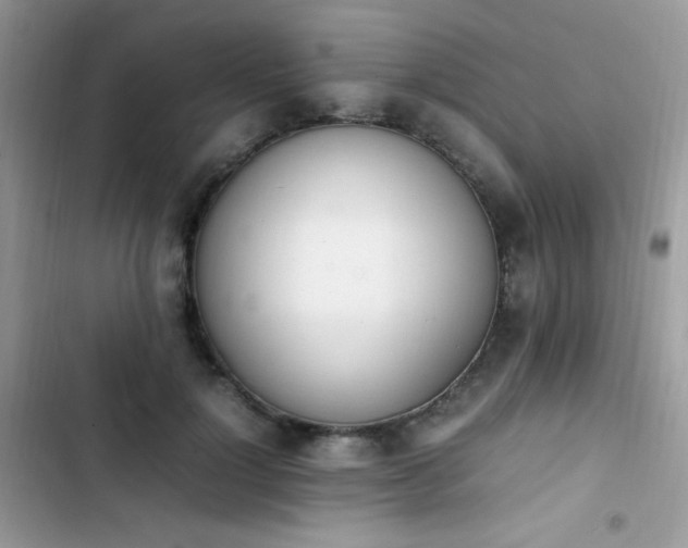 X0000103940748200809191416