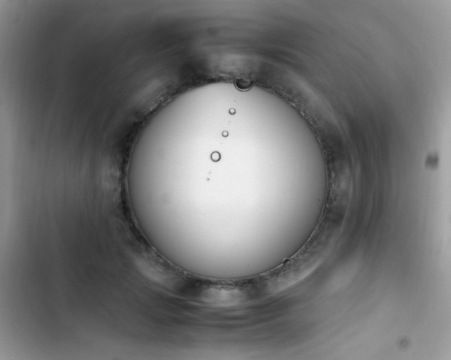 X0000103940749200809191416