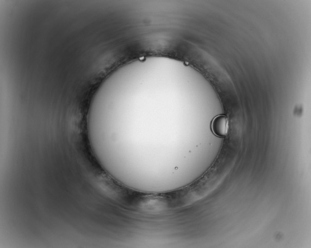 X0000103940750200809191416