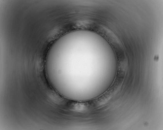 X0000103940751200809191416