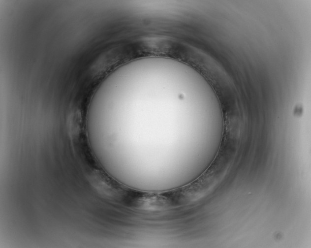 X0000103940752200809191416