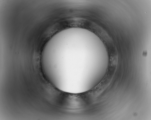 X0000103940753200809191416