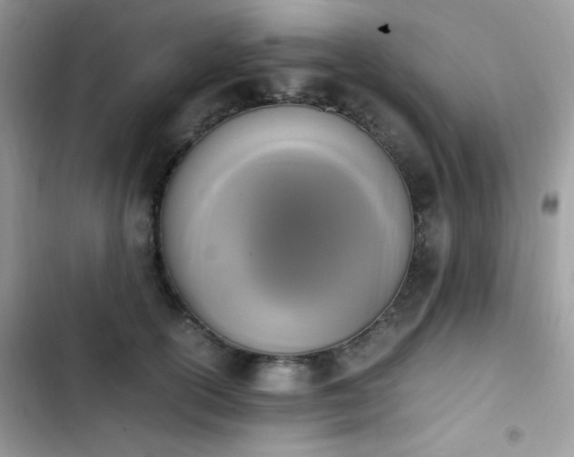 X0000103940754200809191416