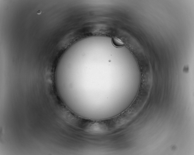 X0000103940755200809191417