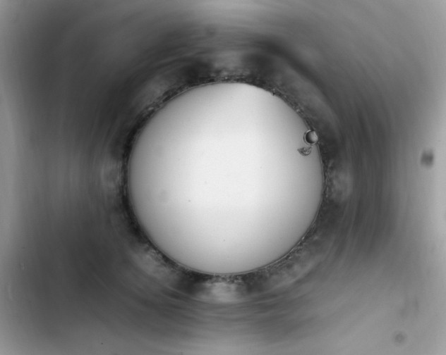 X0000103940756200809191417