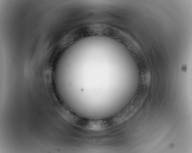 X0000103940757200809191417