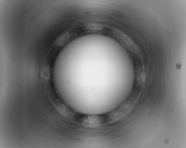 X0000103940758200809191417