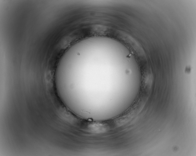 X0000103940759200809191417
