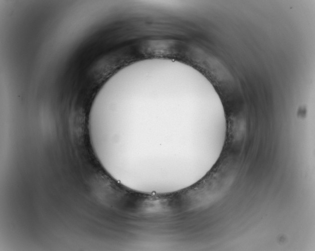 X0000103940760200809191417