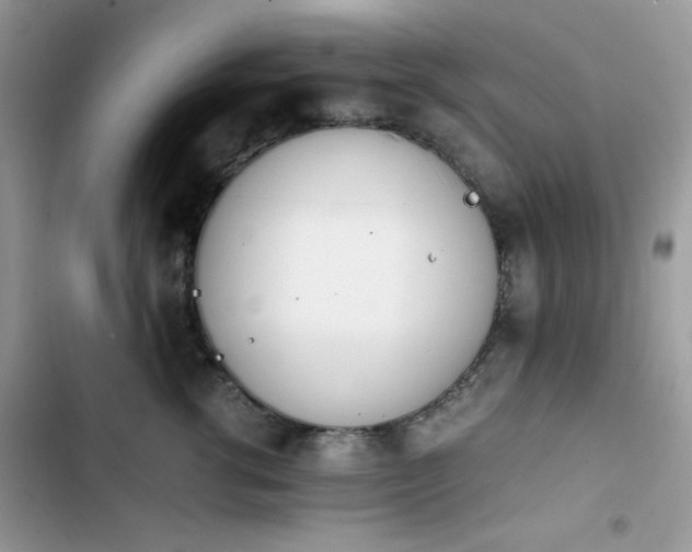 X0000103940762200809191417