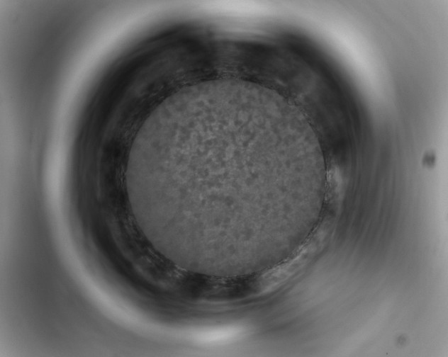 X0000103940765200809191417