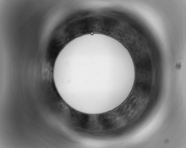 X0000103940766200809191417
