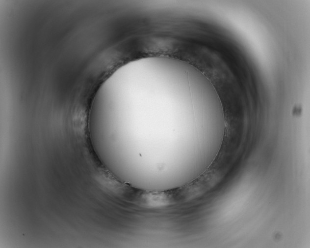 X0000103940767200809191417