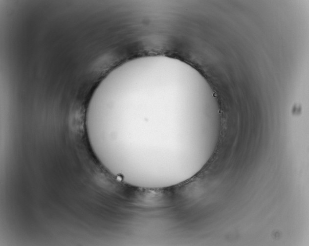 X0000103940768200809191417