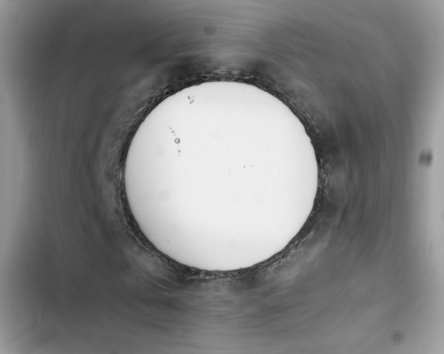 X0000103940769200809191416