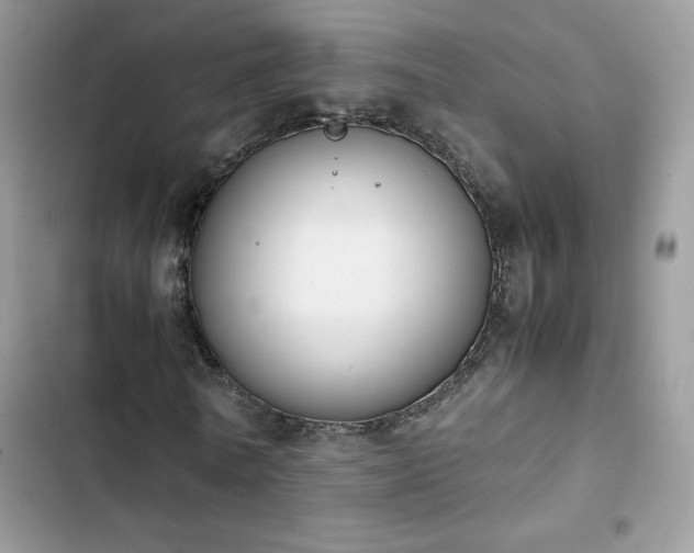 X0000103940770200809191416